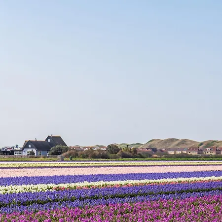 Route 99 - Park De Keizerskroon Aan Zee * Julianadorp